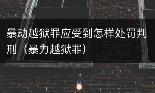 暴动越狱罪应受到怎样处罚判刑（暴力越狱罪）