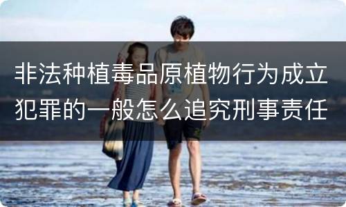非法种植毒品原植物行为成立犯罪的一般怎么追究刑事责任