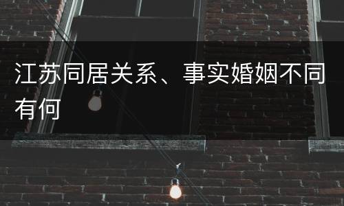 江苏同居关系、事实婚姻不同有何