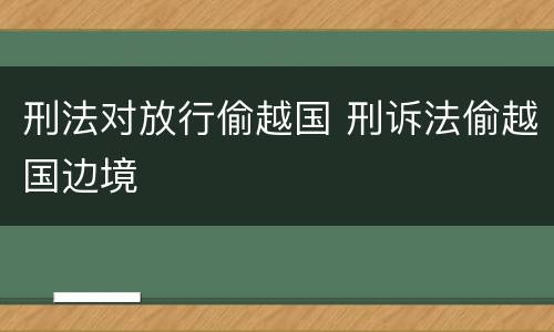刑法对放行偷越国 刑诉法偷越国边境