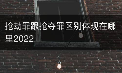 抢劫罪跟抢夺罪区别体现在哪里2022