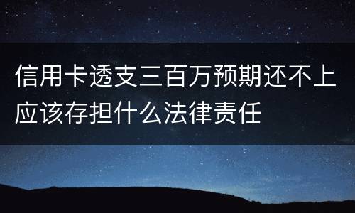 信用卡透支三百万预期还不上应该存担什么法律责任