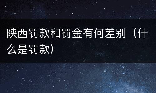 陕西罚款和罚金有何差别（什么是罚款）