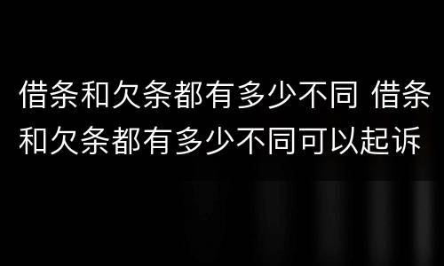 借条和欠条都有多少不同 借条和欠条都有多少不同可以起诉