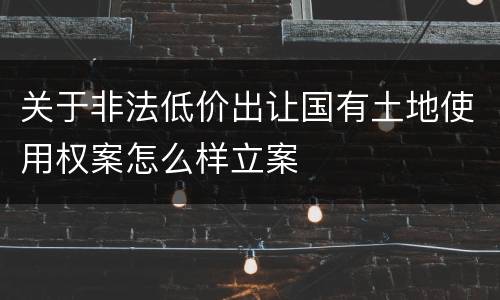 关于非法低价出让国有土地使用权案怎么样立案