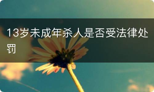13岁未成年杀人是否受法律处罚