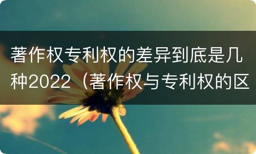 著作权专利权的差异到底是几种2022（著作权与专利权的区别）