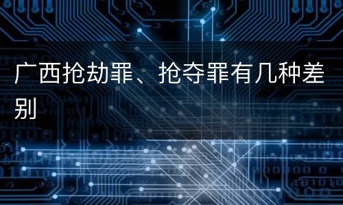 广西抢劫罪、抢夺罪有几种差别