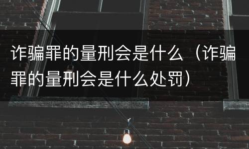 诈骗罪的量刑会是什么（诈骗罪的量刑会是什么处罚）