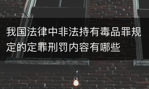我国法律中非法持有毒品罪规定的定罪刑罚内容有哪些