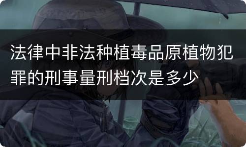 法律中非法种植毒品原植物犯罪的刑事量刑档次是多少