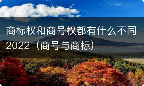 商标权和商号权都有什么不同2022（商号与商标）