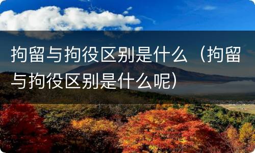 拘留与拘役区别是什么（拘留与拘役区别是什么呢）