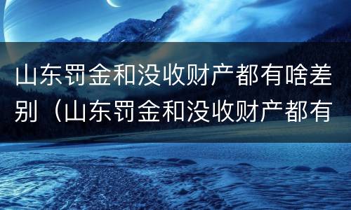 山东罚金和没收财产都有啥差别（山东罚金和没收财产都有啥差别呢）