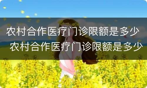 农村合作医疗门诊限额是多少 农村合作医疗门诊限额是多少钱一年
