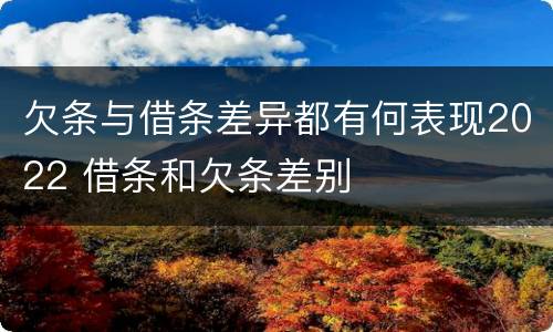 欠条与借条差异都有何表现2022 借条和欠条差别