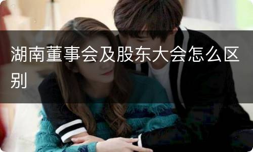 湖南董事会及股东大会怎么区别