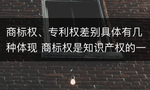 商标权、专利权差别具体有几种体现 商标权是知识产权的一种吗
