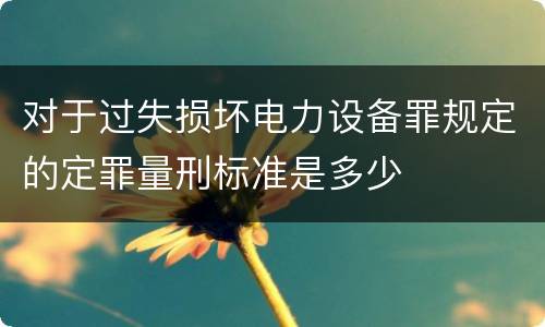 对于过失损坏电力设备罪规定的定罪量刑标准是多少