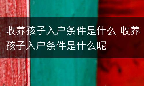 收养孩子入户条件是什么 收养孩子入户条件是什么呢