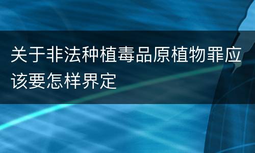 关于非法种植毒品原植物罪应该要怎样界定