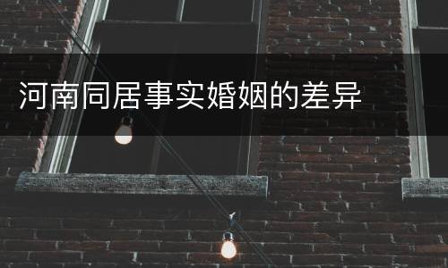 河南同居事实婚姻的差异