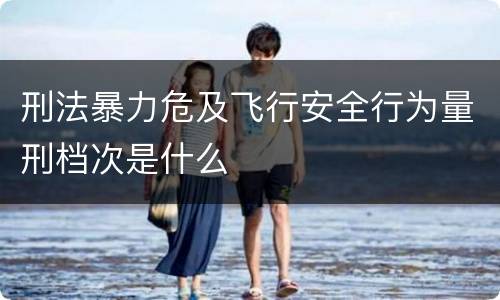 刑法暴力危及飞行安全行为量刑档次是什么