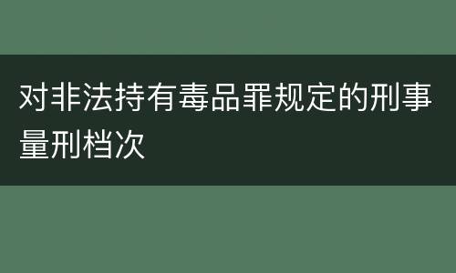 对非法持有毒品罪规定的刑事量刑档次