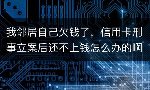 我邻居自己欠钱了，信用卡刑事立案后还不上钱怎么办的啊