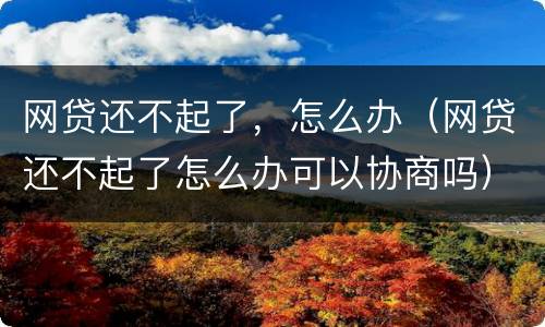 网贷还不起了，怎么办（网贷还不起了怎么办可以协商吗）