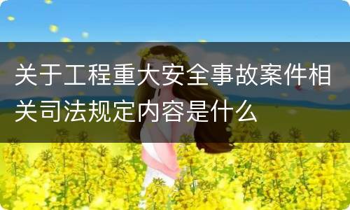 关于工程重大安全事故案件相关司法规定内容是什么