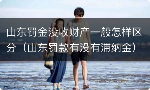 山东罚金没收财产一般怎样区分（山东罚款有没有滞纳金）