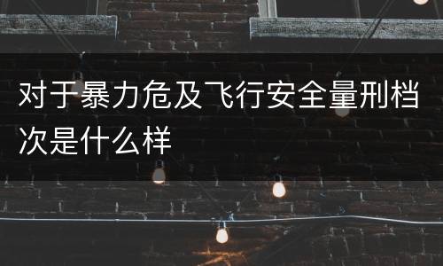 对于暴力危及飞行安全量刑档次是什么样