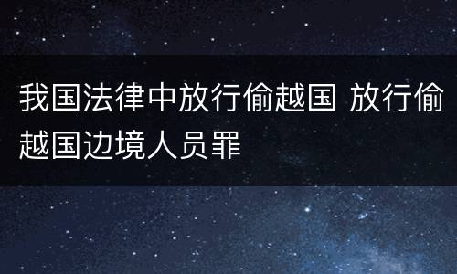 我国法律中放行偷越国 放行偷越国边境人员罪