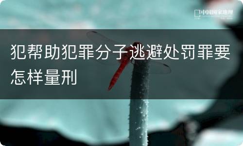 犯帮助犯罪分子逃避处罚罪要怎样量刑