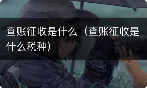 查账征收是什么（查账征收是什么税种）