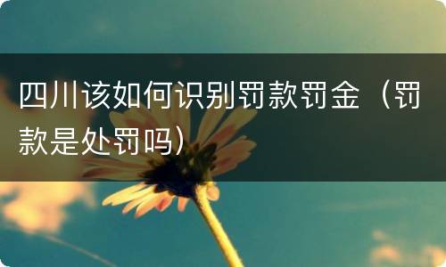 四川该如何识别罚款罚金（罚款是处罚吗）