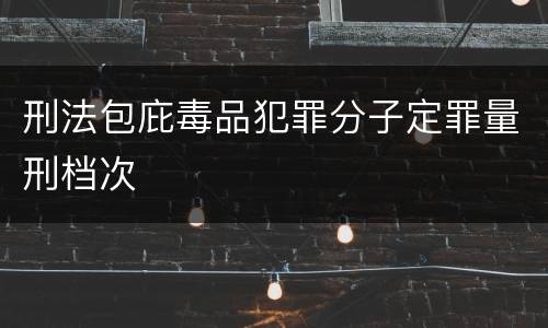 刑法包庇毒品犯罪分子定罪量刑档次