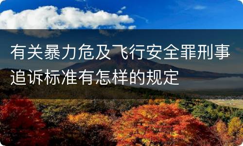 有关暴力危及飞行安全罪刑事追诉标准有怎样的规定