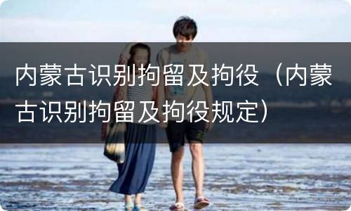 内蒙古识别拘留及拘役（内蒙古识别拘留及拘役规定）