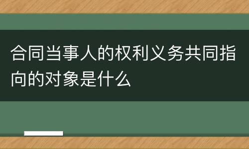 合同当事人的权利义务共同指向的对象是什么