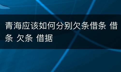 青海应该如何分别欠条借条 借条 欠条 借据