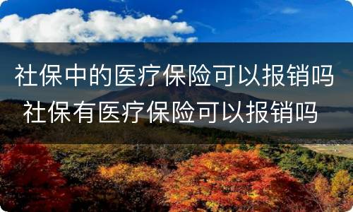 社保中的医疗保险可以报销吗 社保有医疗保险可以报销吗