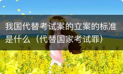 我国代替考试案的立案的标准是什么（代替国家考试罪）