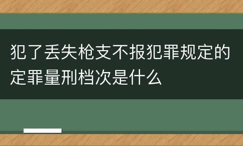 犯了丢失枪支不报犯罪规定的定罪量刑档次是什么
