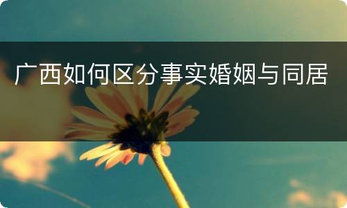 广西如何区分事实婚姻与同居
