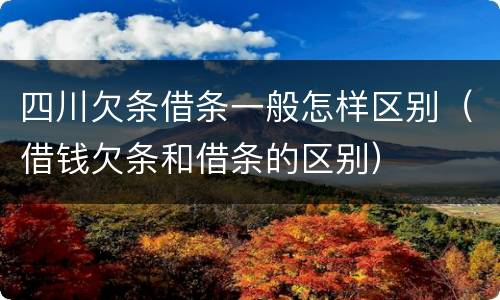 四川欠条借条一般怎样区别（借钱欠条和借条的区别）