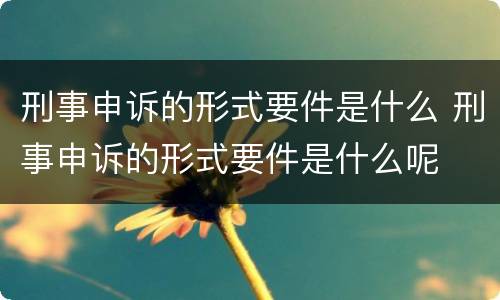 刑事申诉的形式要件是什么 刑事申诉的形式要件是什么呢