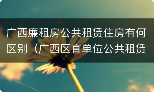 广西廉租房公共租赁住房有何区别（广西区直单位公共租赁住房）