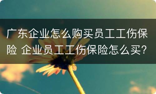 广东企业怎么购买员工工伤保险 企业员工工伤保险怎么买?